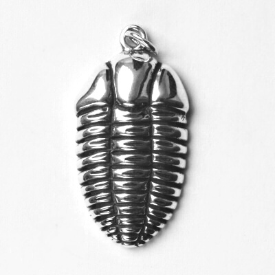 Stříbrný přívěsek trilobit - P204
