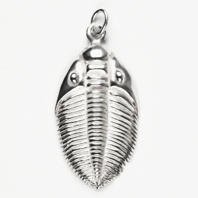 Stříbrný přívěsek trilobit - P218