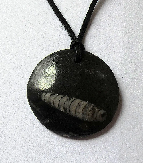 Přívěsek na kůži , zkamenělá fosílie Orhoceras Maroko