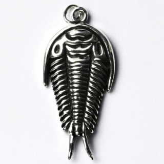 Stříbrný přívěsek trilobit - P203